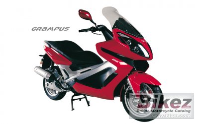 2010 Qingqi Grampus QM250T photo